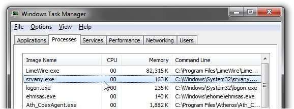 Що за процес srvany.exe?