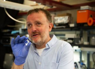 Kemajuan AI Menawarkan Harapan Baru bagi Tunanetra: Tinjauan Dokumenter