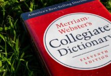 Смітник, створений штучним інтелектом, визнано словом року 2025 за версією Merriam-Webster