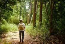 Подорожі на природі: як створювати власні пішохідні маршрути за допомогою iOS 18