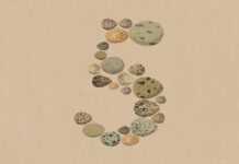 Opus 5 проти Fable 5: яка модель Anthropic насправді вписується у ваш робочий процес
