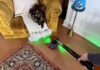 The Best Dyson Vacuums of 2025: Tested and Ranked
